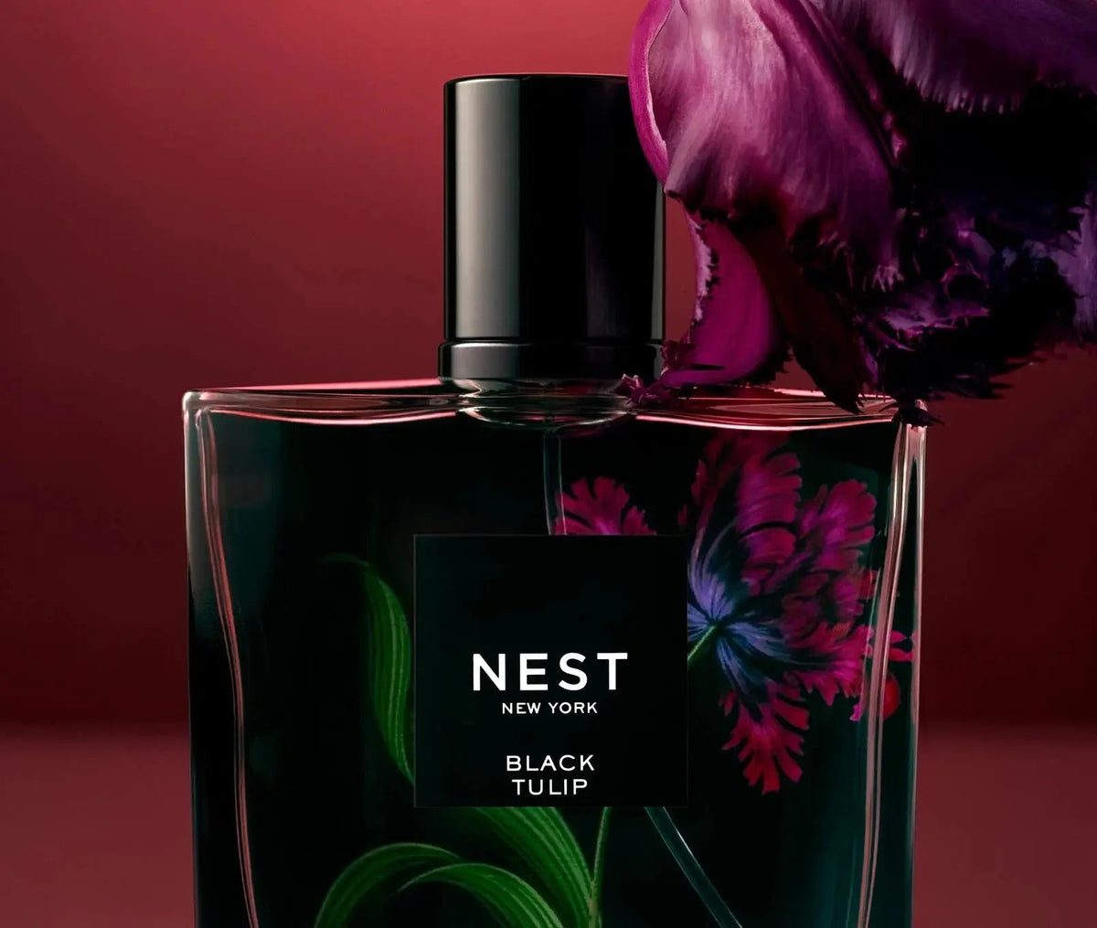 Black Tulip Eau de Parfum (50mL)