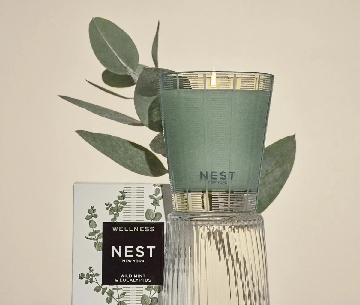 Wild Mint & Eucalyptus Essentials Set