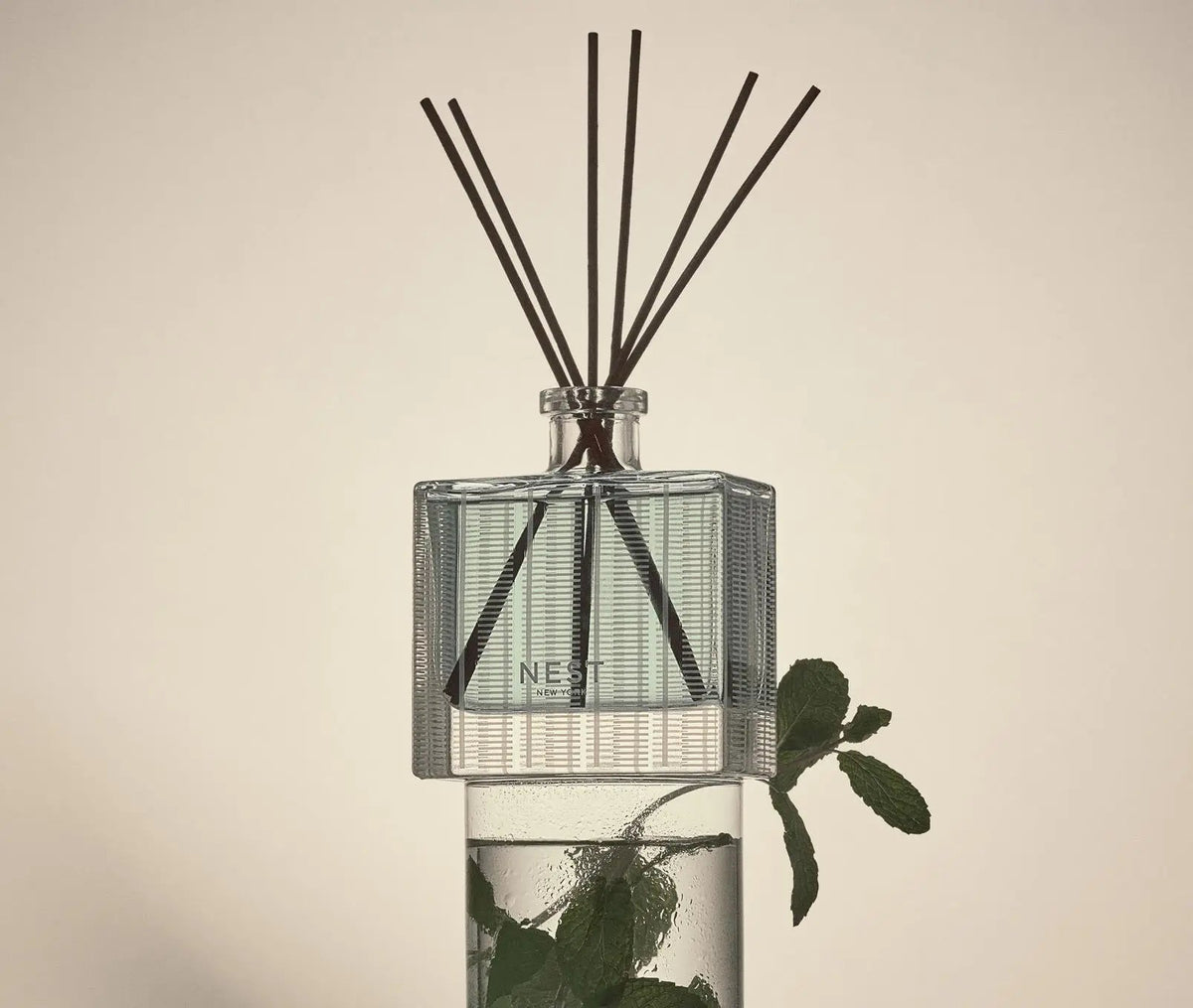 Wild Mint & Eucalyptus Reed Diffuser & Liquid Refill Set