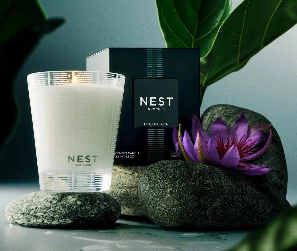 Forest Rain Classic Candle