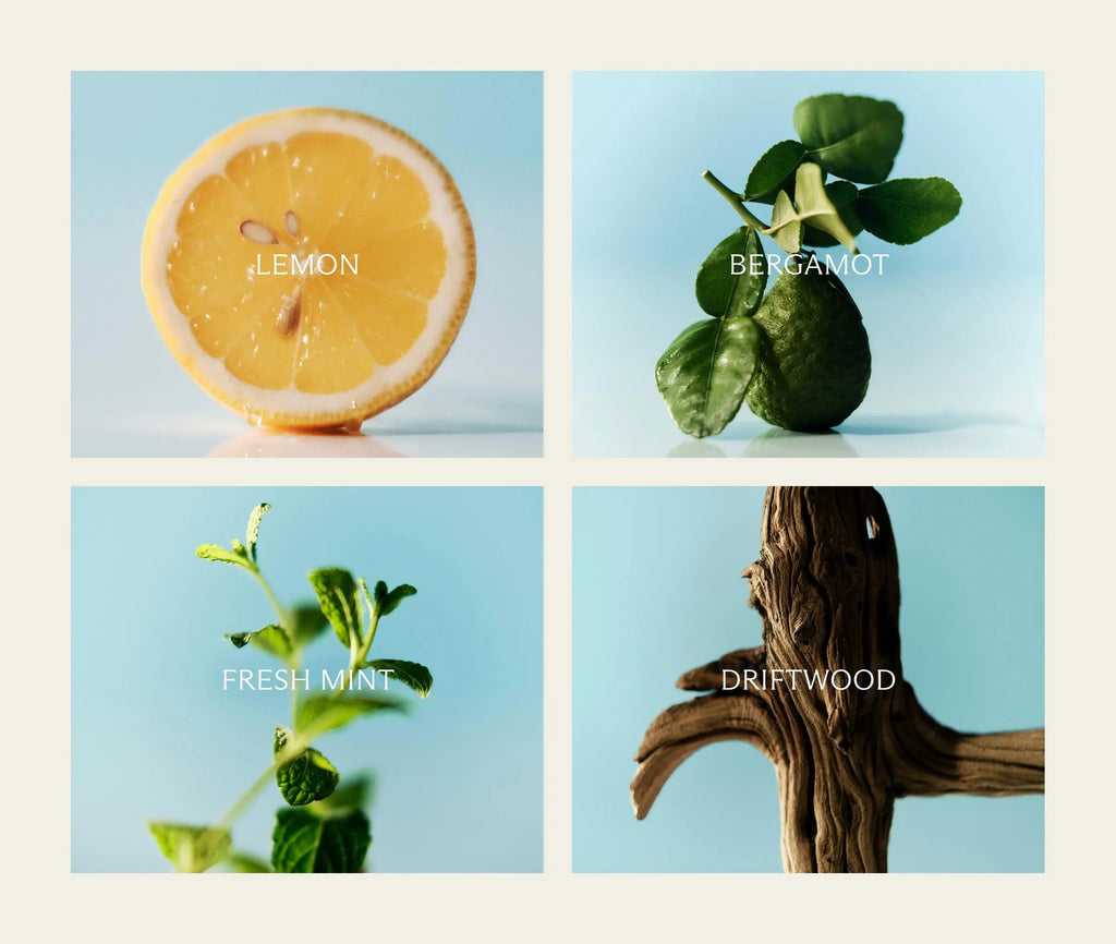 Amalfi Lemon & Mint Refill Duo for NEST x Pura Smart Home Fragrance Diffuser - Smart Vials