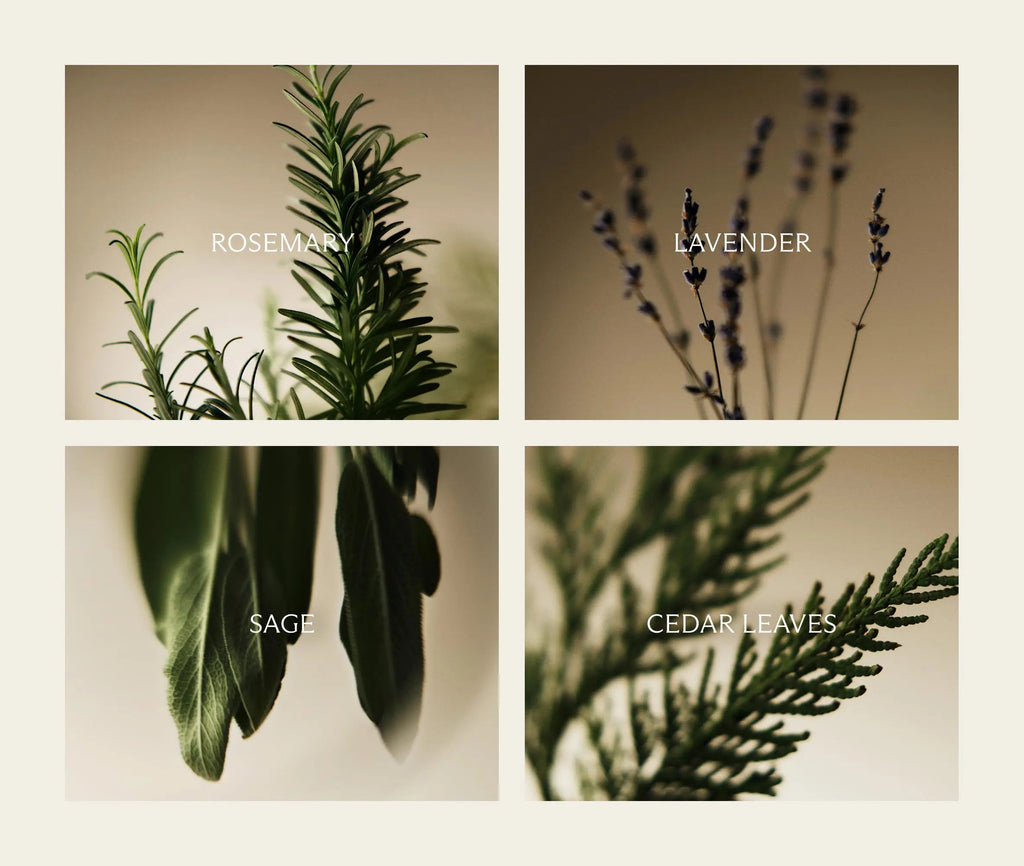 Cedar Leaf & Lavender 3-Wick Candle
