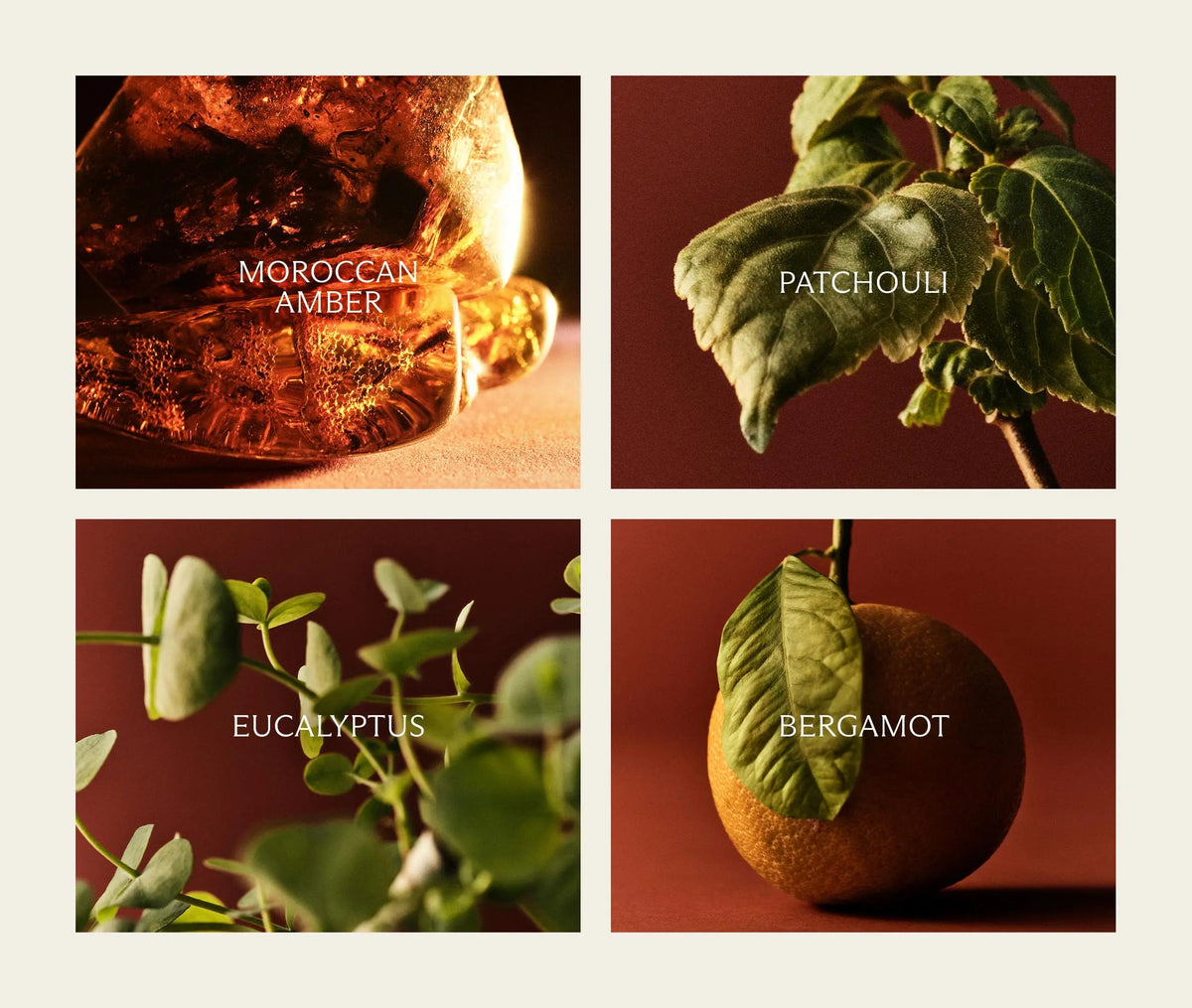 Moroccan Amber Refill Duo for NEST x Pura Smart Home Fragrance Diffuser - Smart Vials