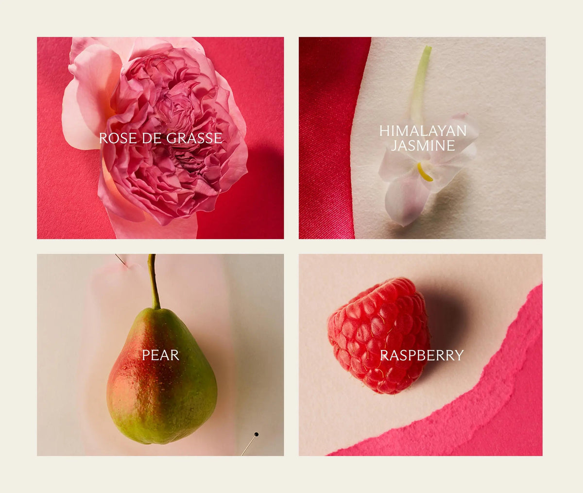 Wild Poppy Eau de Parfum (50mL)