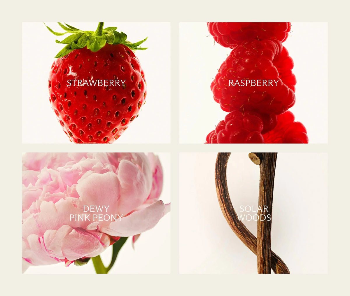 The Santa Barbara Strawberry Edit