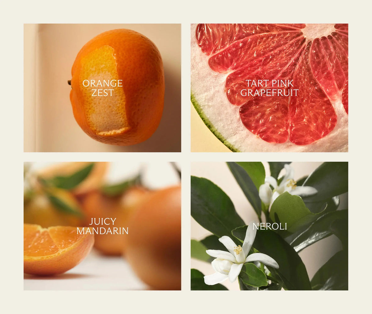 Seville Orange Perfume Oil (30mL)