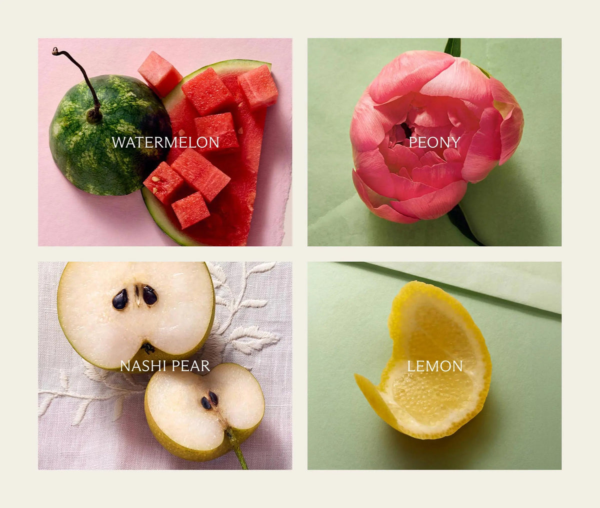Watermelon Peony Perfume Oil (6mL)