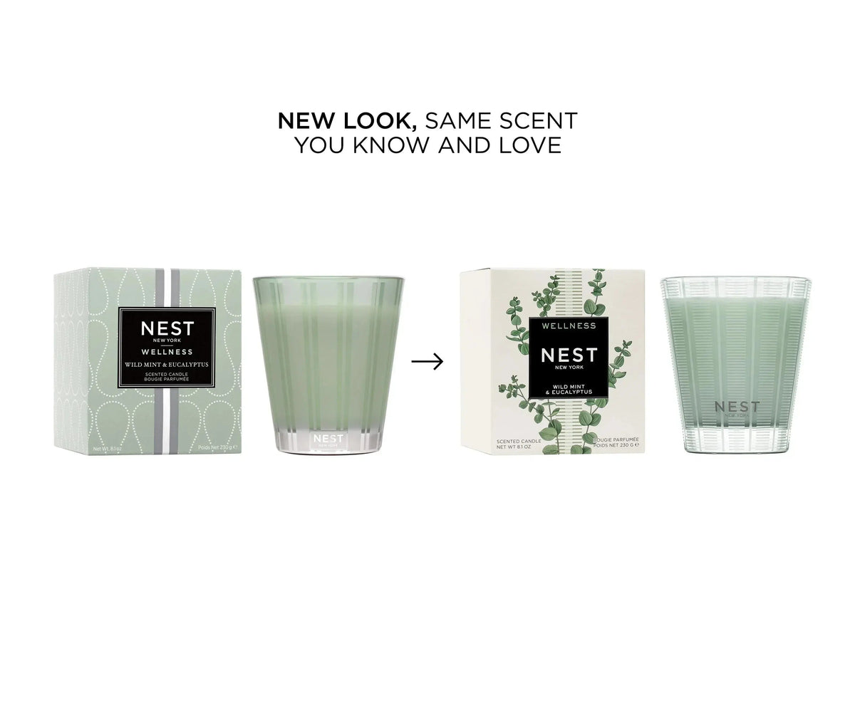 Wild Mint & Eucalyptus Classic Candle