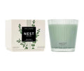 Wild Mint & Eucalyptus 3-Wick Candle