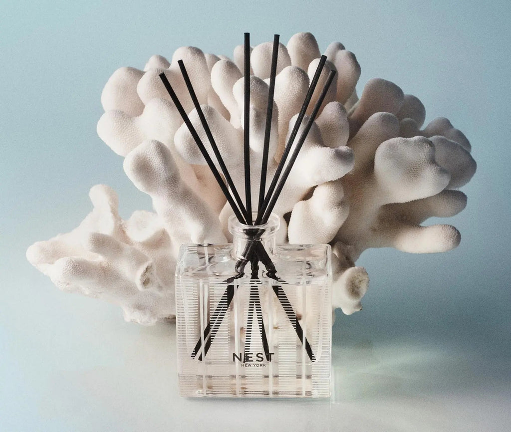 Ocean Mist & Sea Salt Reed Diffuser & Liquid Refill Set